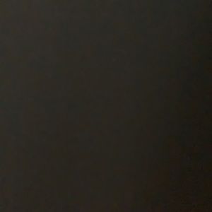 Meet your Posher, Briney